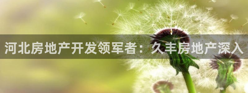 永利公司是做什么的