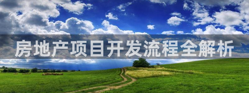 永利股份做什么
