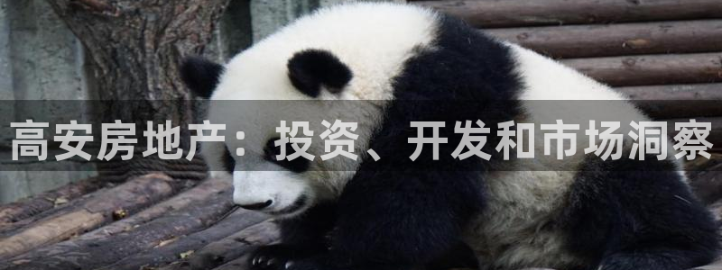 永利集团官网总站