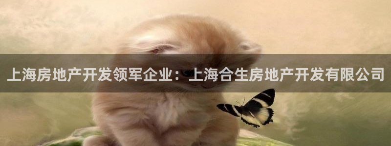 永利网能赚钱是真的么