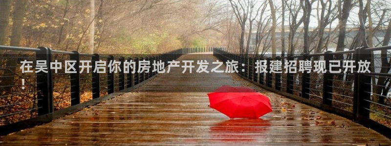 永利来织带