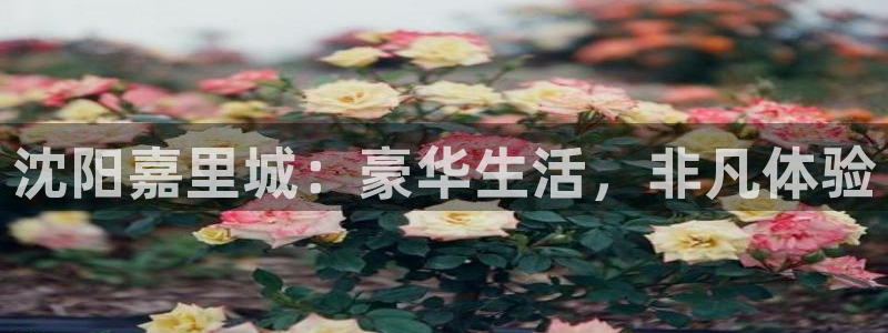 永利网能赚钱是真的么