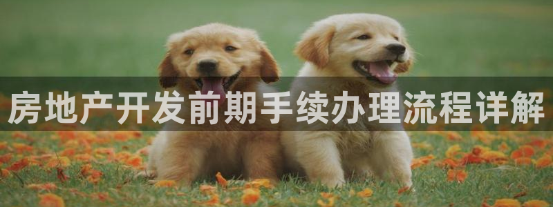 永利服饰有限公司