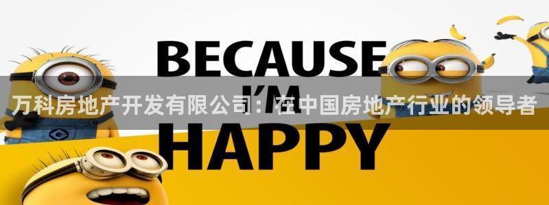 永利皮带报价查询