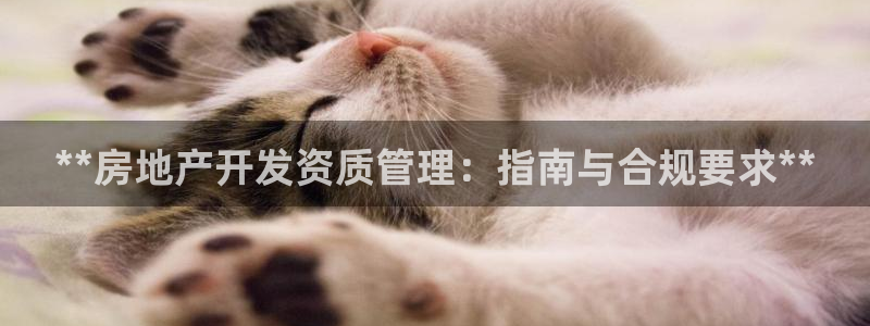 永利中国官网