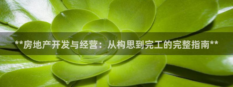 永利集团3044浏览器
