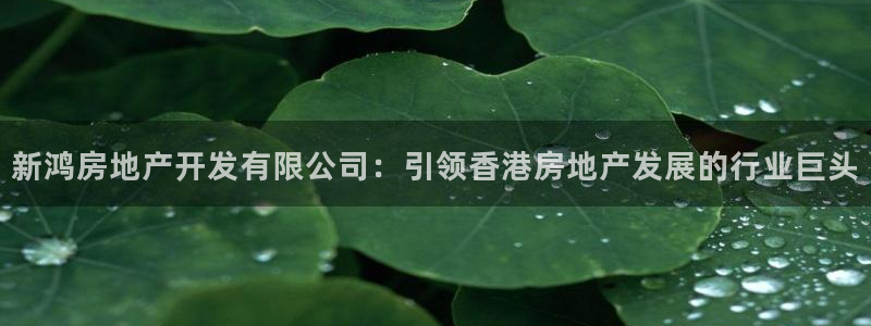 永利制带公司管理人员名单