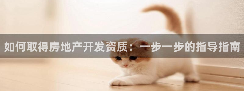 永利皮带报价查询