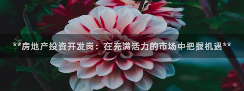 永利赚钱