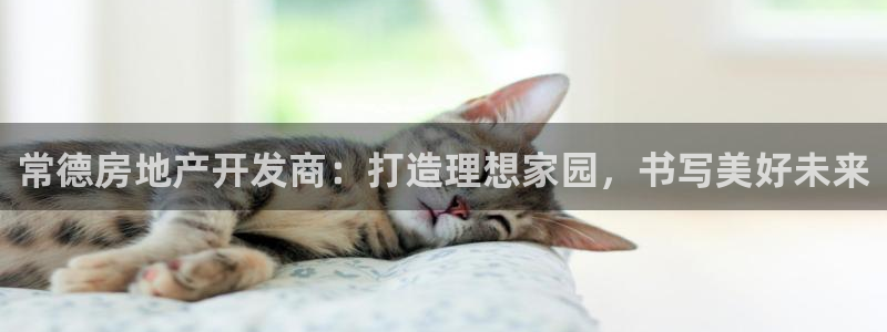 永利皮带报价查询