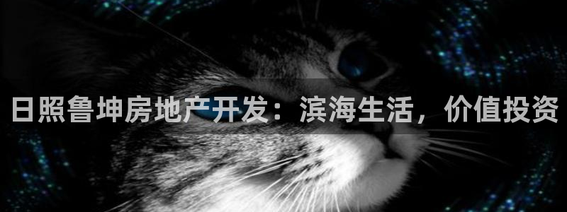 永利皮带型号说明