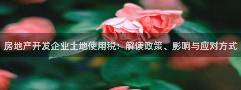 永利钱提不出来怎么办