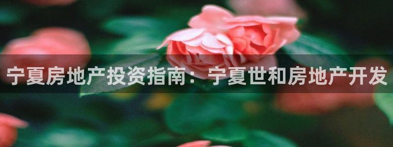 永利塑胶有限公司
