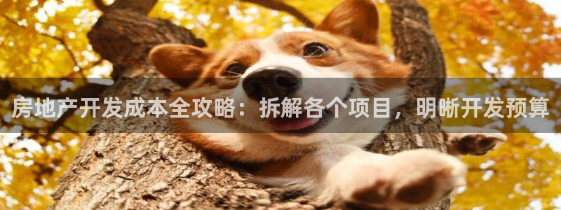 永利是做什么的