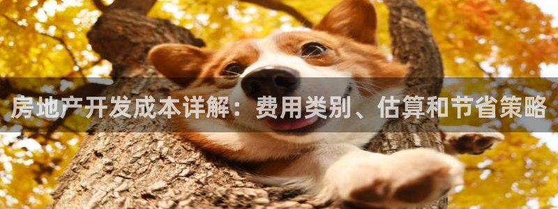 永利制带股票