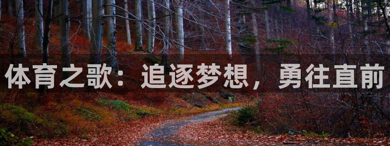 ug环球官网：体育之歌：追逐梦想，勇往直前