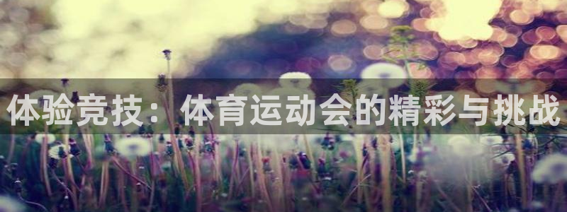 ug环球官网注册：体验竞技：体育运动会的精彩与挑战