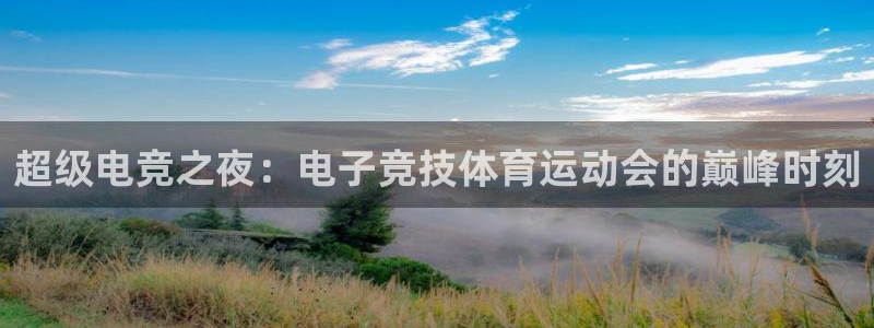 ug环球官网：超级电竞之夜：电子竞技体育运动会的巅峰时刻