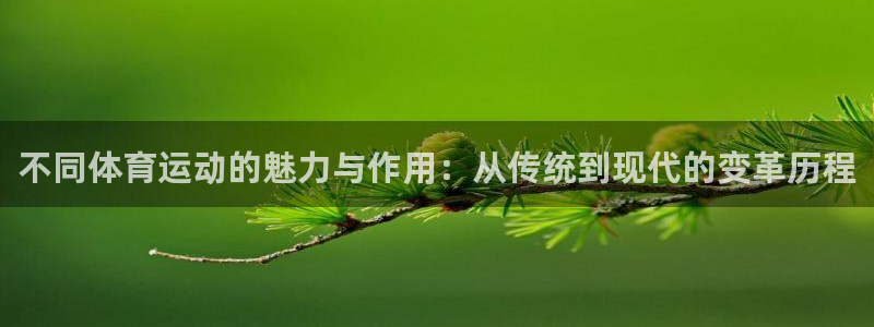 菲律宾ug环球官网：不同体育运动的魅力与作用：从传统到现代的变革历程