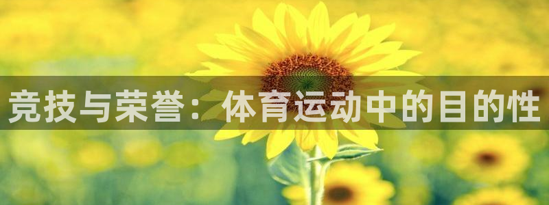 ug环球官网注册：竞技与荣誉：体育运动中的目的性