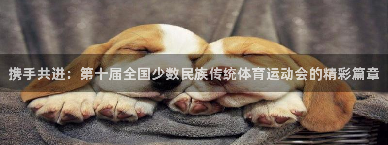 菲律宾ug环球官网：携手共进：第十届全国少数民族传统体育运动会的精彩篇章