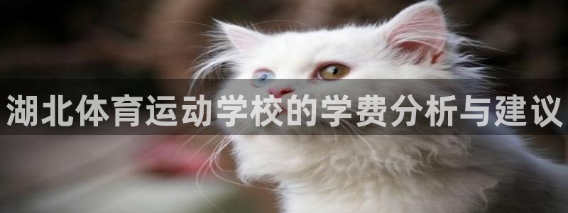 ug环球官网：湖北体育运动学校的学费分析与建议
