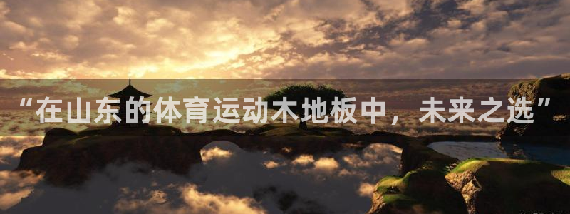 ug环球官网注册：“在山东的体育运动木地板中，未来之选”