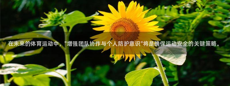 菲律宾ug环球官网：在未来的体育运动中，\