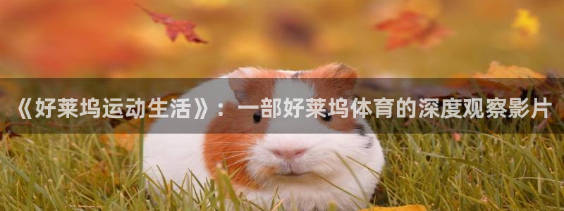 ug环球官网注册：《好莱坞运动生活》：一部好莱坞体育的深度观察影片