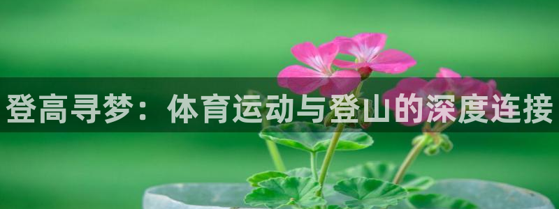 ug环球官网注册：登高寻梦：体育运动与登山的深度连接