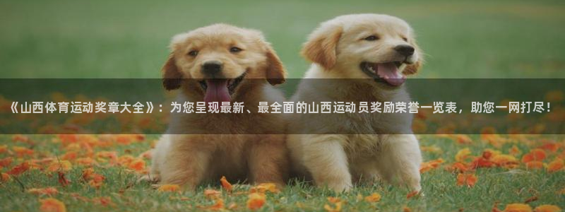 菲律宾ug环球官网：《山西体育运动奖章大全》：为您呈现最新、最全面的山西运动员奖励荣誉一览表，助您一网打尽！
