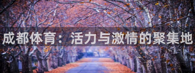 ug环球官网：成都体育：活力与激情的聚集地