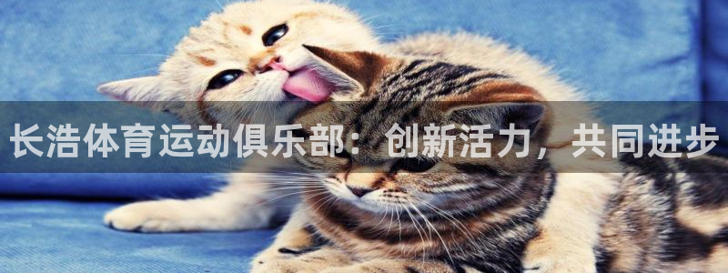 ug环球官网：长浩体育运动俱乐部：创新活力，共同进步