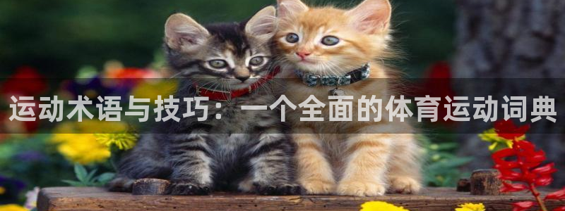 菲律宾ug环球官网：运动术语与技巧：一个全面的体育运动词典