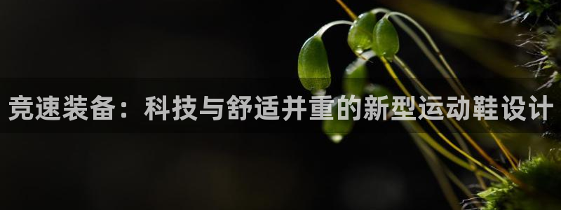 ug环球官网注册：竞速装备：科技与舒适并重的新型运动鞋设计