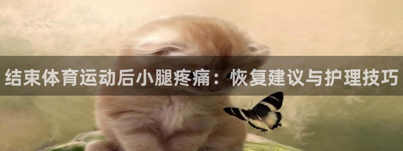 ug环球官网注册