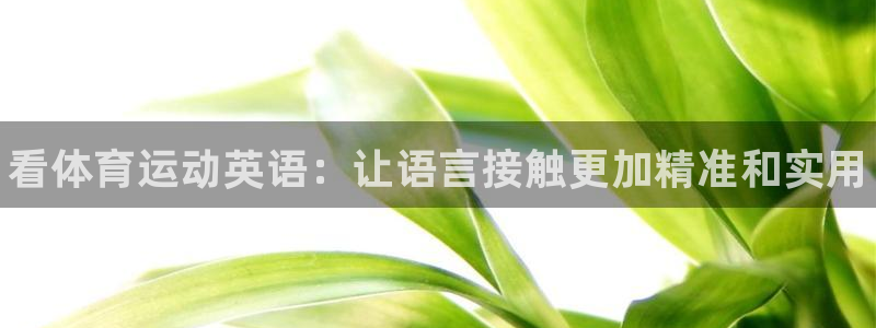 ug环球官网注册：看体育运动英语：让语言接触更加精准和实用