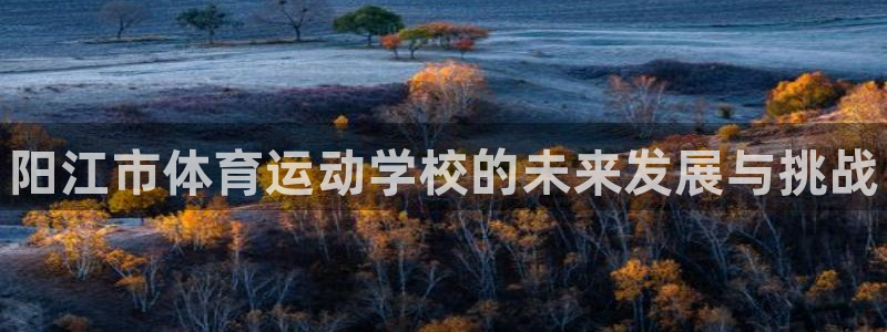 菲律宾ug环球官网：阳江市体育运动学校的未来发展与挑战