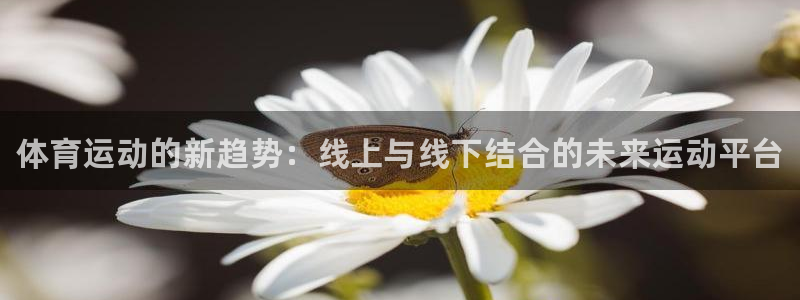 ug环球官网：体育运动的新趋势：线上与线下结合的未来运动平台