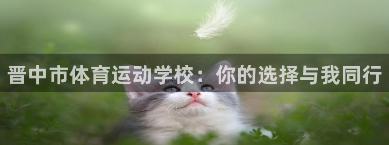 ug环球官网登录入口：晋中市体育运动学校：你的选择与我同行