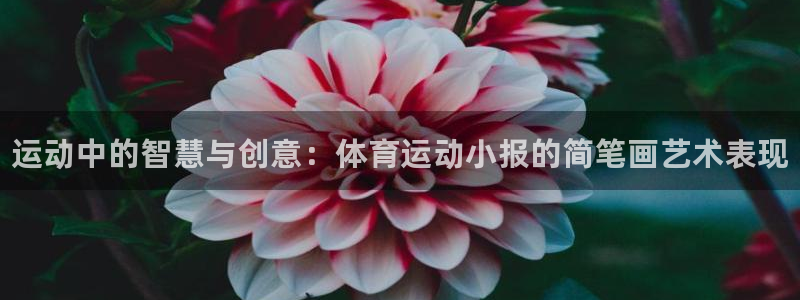 菲律宾ug环球官网：运动中的智慧与创意：体育运动小报的简笔画艺术表现