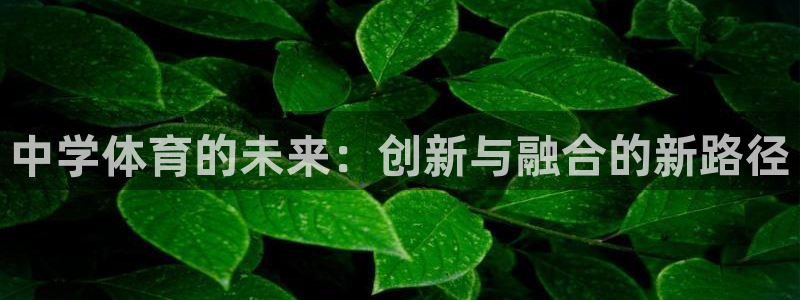 ug环球官网注册：中学体育的未来：创新与融合的新路径