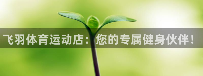ug环球官网：飞羽体育运动店：您的专属健身伙伴！