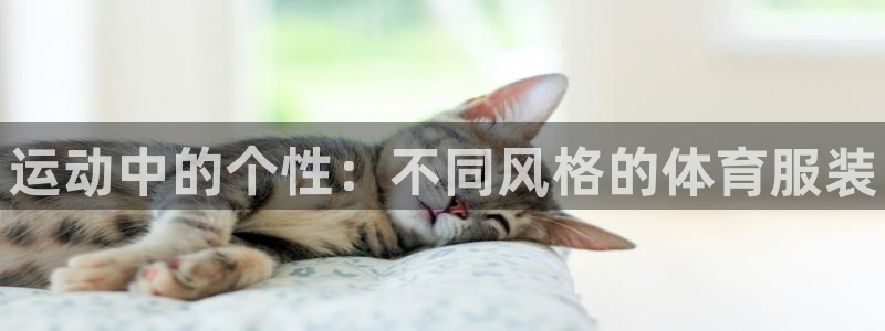 菲律宾ug环球官网