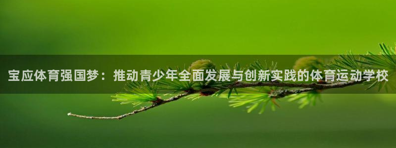 ug环球官网登录入口：宝应体育强国梦：推动青少年全面发展与创新实践的体育运动学校
