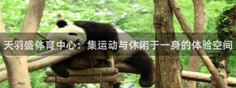 ug环球官网注册：天羽盛体育中心：集运动与休闲于一身的体验空间